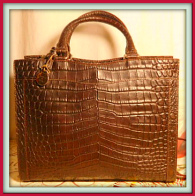 Decadent Chocolate Brown Dooney Satchel-Shoulder Bag