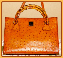 Decadent Gingered Amber Leather Dooney Ostrich Satchel Shoulder Bag