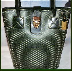 Tranquility Green CabrioLeather Dooney Bucket Bag