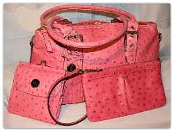 Bursting Watermelon Pink Double Buckle Ostrich Domed Satchel Set of 3
