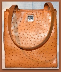 Spicy Ginger Brown Dooney and Bourke  Ostrich North-South Tote