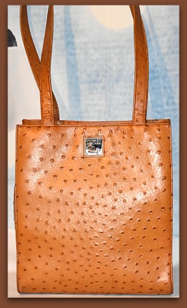 Ostrich handbag MARIO VALENTINO Brown in Ostrich - 25783237