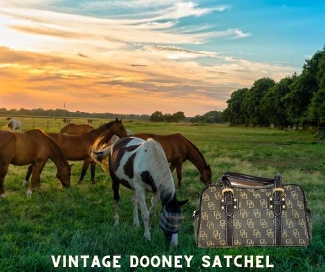 Round Up Time Vintage Dooney Satchel